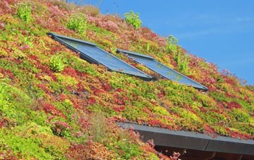 Kilmeston living roof systems